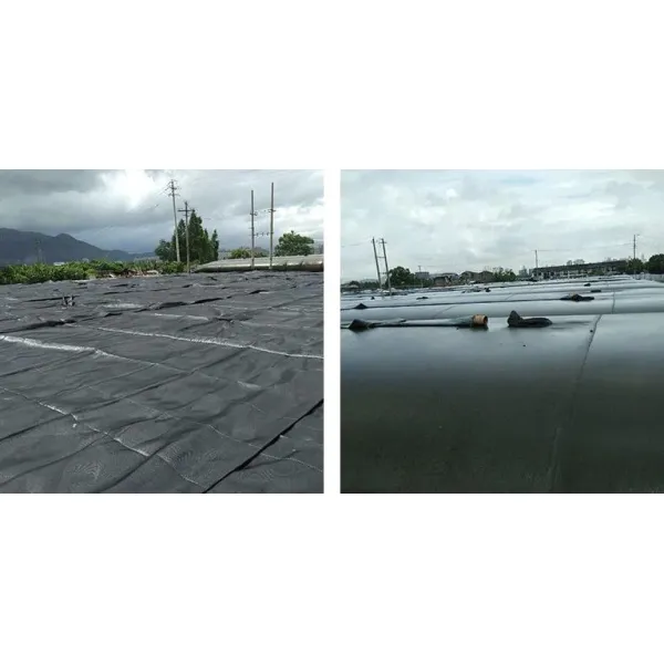 PP Woven Geotextile Geo Bag Geotube Sludge Dewatering Waterproof
