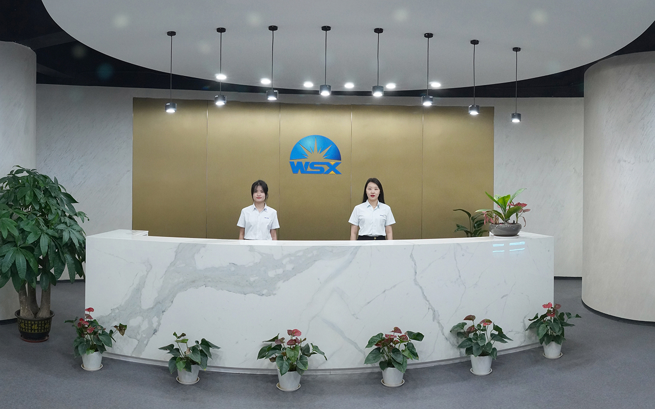 Shenzhen Worthing Technology Co., Ltd.