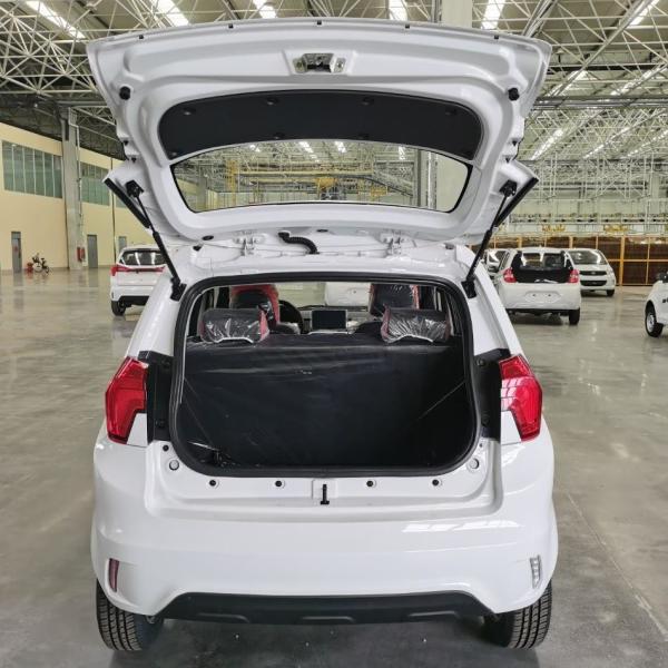 Raysince factory hot sales model 5 door electric car adult vehicle 4 Seats electric vehicles for sale