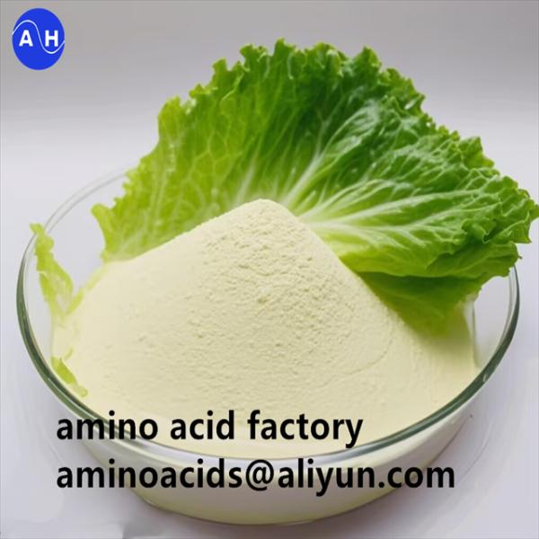 Amino Acid Vegetal Origin With A 80% Of Free Amino Acids