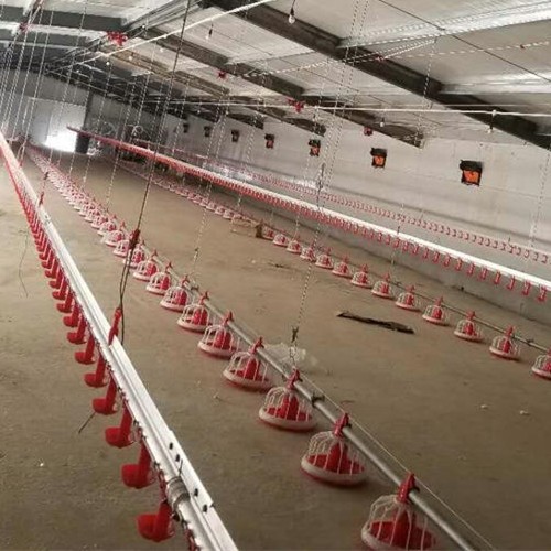 foreuse Pan Feeding System Shed automatique de 22ton 220V