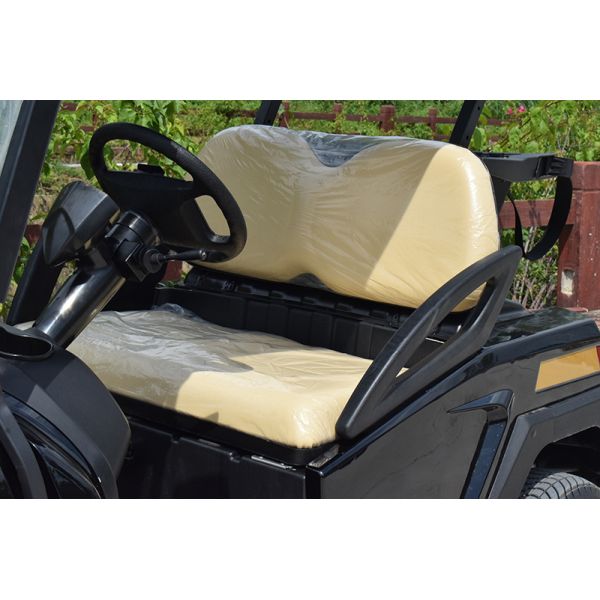 Convenient Electric Golf Buggy Italy Graziano Axle 12/1 Trojan Battery