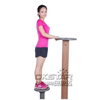 outdoor wooden fitness equipment--WPC china supplier outdoor body exercise equipment tripe hip twister