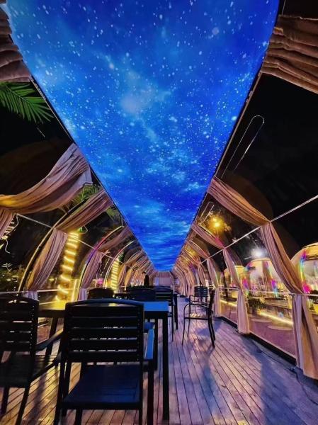 Modern Intelligent Outdoor Prefab Star  Room Waterproof polycarbonate Domes For Glamping Geodesic Dome House for Hotels