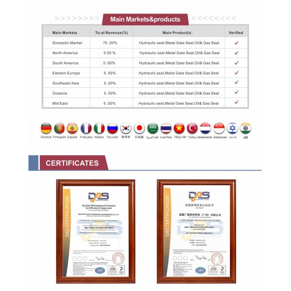 Стекло кольца носки поршеня уплотнения WR кольца носки Gdk гидравлическое - уплотнение кольца с направляющими волокна 4J3236 для экскаватора CAT