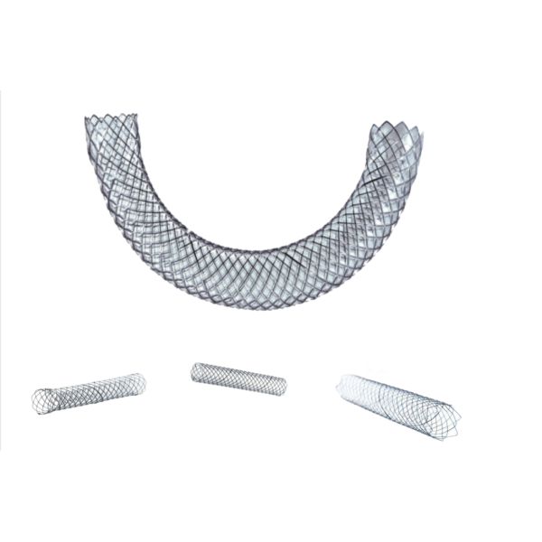 CE хирургических инструментов системы Stent обнаженного металла Biliary не васкулярный отметил