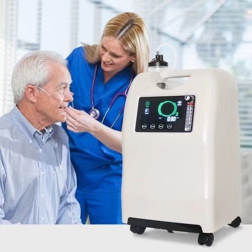 10l Oxygen Concentrator Dual Output 96% Purity Oxygen Concentrator With Nebulizer 390*310*590mm