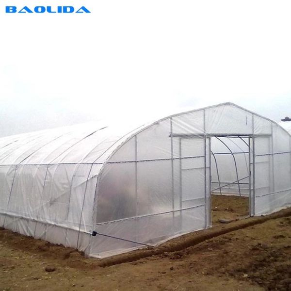 Gothic High Tunnel Vegetable Film Hydroponics Single-Span Greenhouse Construction