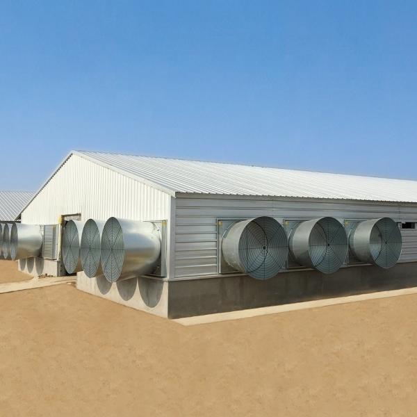 Armazém de aço competitivo para edifícios agrícolas de estilo industrial e controlados pelo ambiente