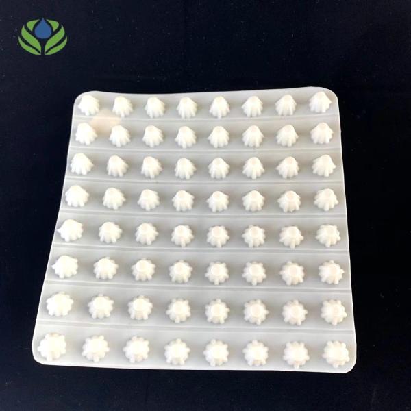 Modern Design Style Drainage HDPE Composite Drainage Board for Building and Construction