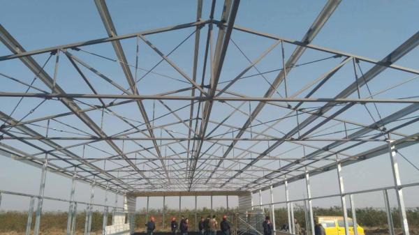 Automatic Metal Cage Steel Structure Broiler Chicken Poultry House