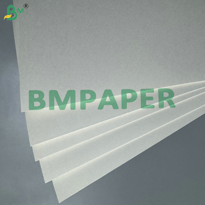 Food-Grade 170-320gsm Cup Stock Paper Extruded with PE 15 MIC  for Disposable Coffee Cups