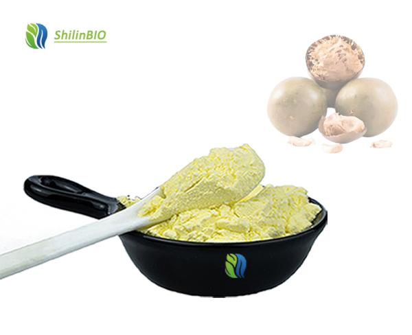 Luo Han Guo Extract Mogroside V 25% 50% Pure Monk Fruit Extract Powder