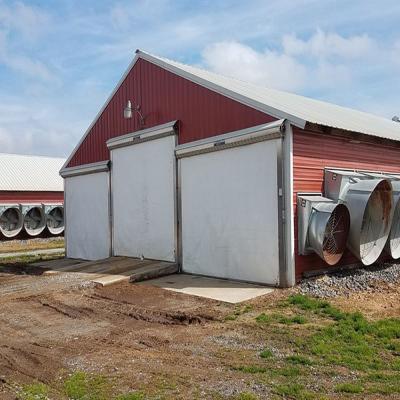 Estructura de acero de vigas H modernas Casa de aves de corral Cuadro de acero de larga envergadura Edificios agrícolas
