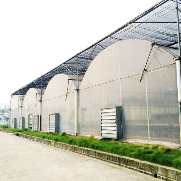 Земледелие засаживая парник пяди парника железного каркаса большого диапазона полиэтиленовой пленки Multi