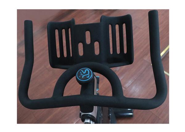 Mestre do Gym do volante da bicicleta 20KG da rotação do Gym de Proform/bicicleta rotação da aptidão