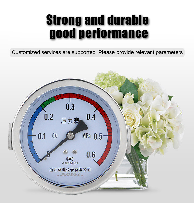 OEM Supported 6bar 100mm Back Connection Manometer for Water/Oil/Gas Pressure Gauges