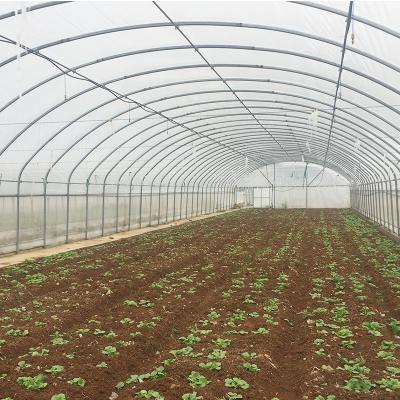 Capa de filme Estufas agrícolas de um único espaço para o cultivo agrícola