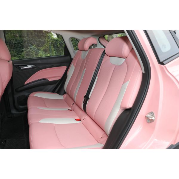 Energy NETA V Energy Electric Vehicle Pure Electric Family Car for Personal Transportation