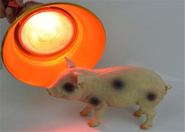250W Pig Farm Equipment Waterproof Hard Glass More Than 6000 Hours Low Temperature
