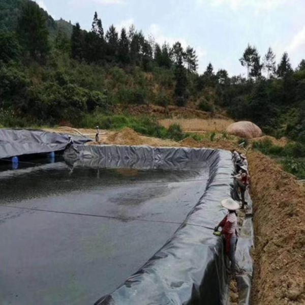 Black Green HDPE Geomembrane Pond Liners 1.5mm for Dam Construction and Protection