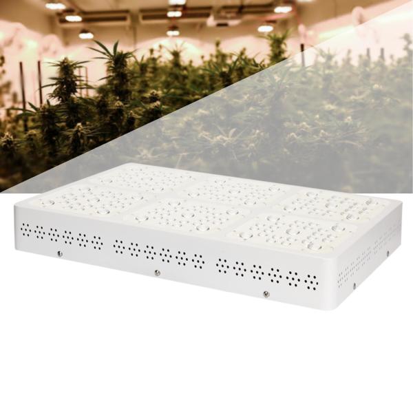 120° Beam Angle COB LED Grow Light Panel For Greenhouse Three Lighting Modes