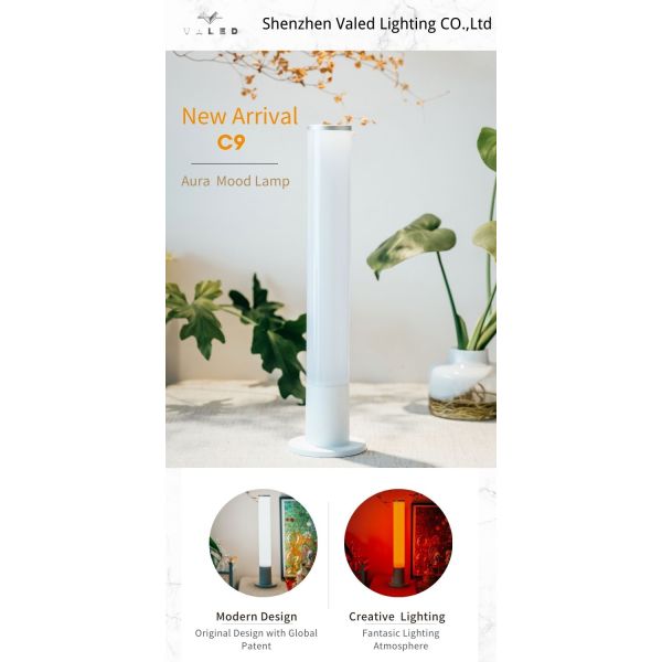 Dimmable Mood Table Lamp 220V Color Changing Night Light Luxury