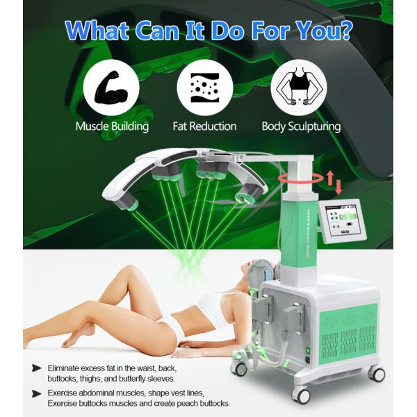 Machine de sculpture du corps de 800W-3500W 10D Laser HIEMT Machine de sculpture du corps pour le resserrement / l' amincissement