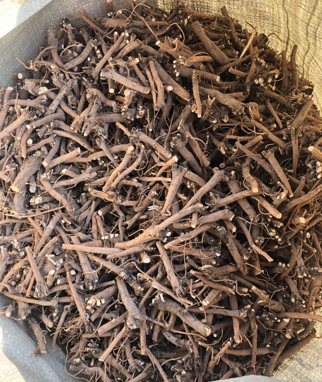 Chinese Herbal Medicines