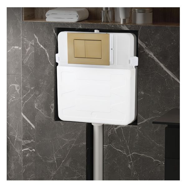 Bathroom Gold Color Smart Toilet with Upper Cistern and Customizable Colored Water Tank