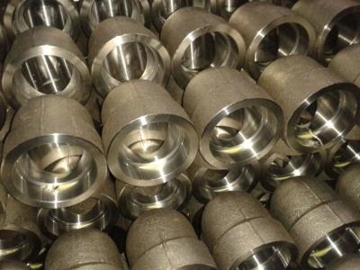 Custom Forged Stainless Steel Pipe Fittings Reducer / Cap Ends / Nipple / Coupling, Union