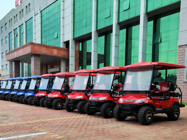 Подгонянный с тележки 48Вольт 60в 72в 30км/Х гольфа дороги НЭВ