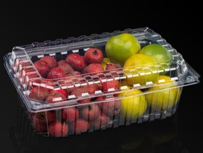Food Grade Disposable Plastic Food Containers Recyclable Food Box For Cold Dishes
