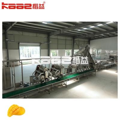 1-120T/H Dual Channel Juicer Fresh Fruit Processing Line Mango Pulp Production Line