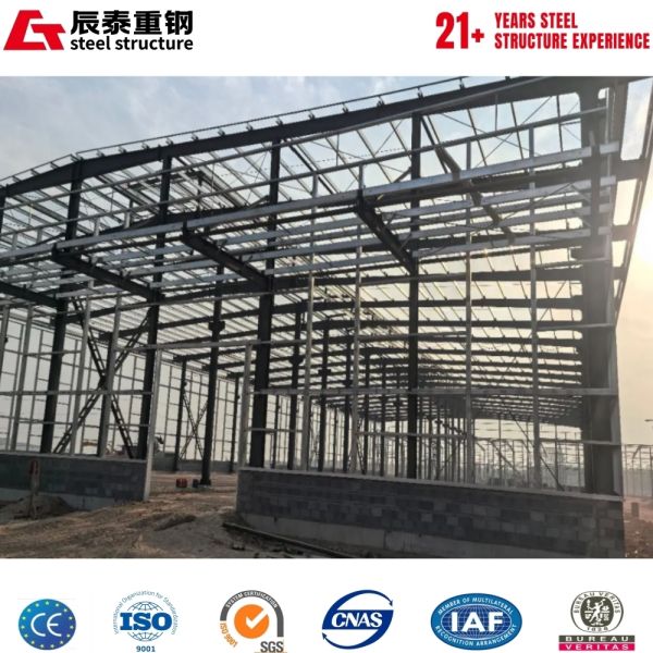 China Export Single Layer Size Customization Steel Structure For Warehouse
