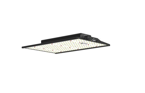 100W Full Spectrum LED Grow Light With Samsung / Osram LEDs For Optimal VEG / Flower Growth