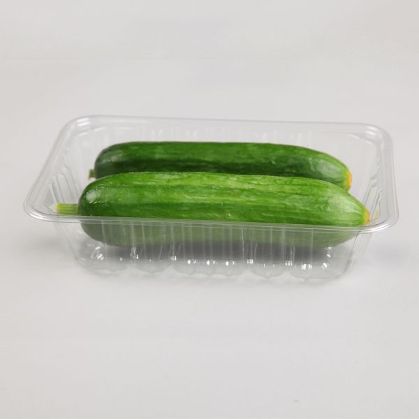 4.5cm Disposable Veggie Tray