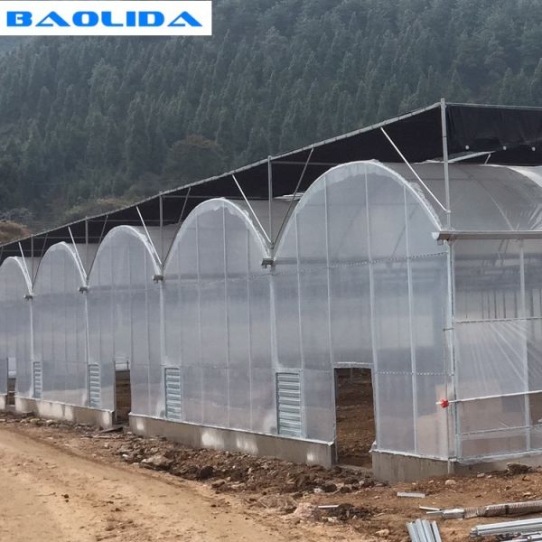 Обречение парника томата Multi трубы пяди умственной пластиковое для земледелия