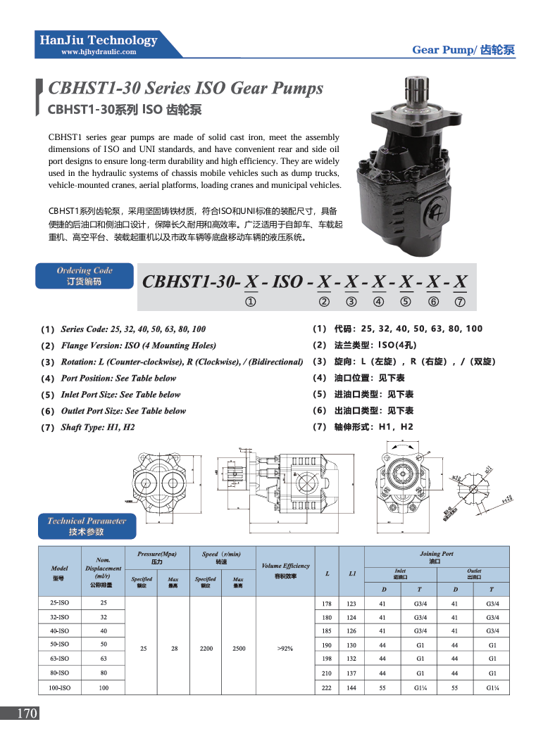 CBHST1-30 Series Hydraulic Pumps for Dump Trucks, Cranes, Aerial Platforms, and Municipal Vehicles