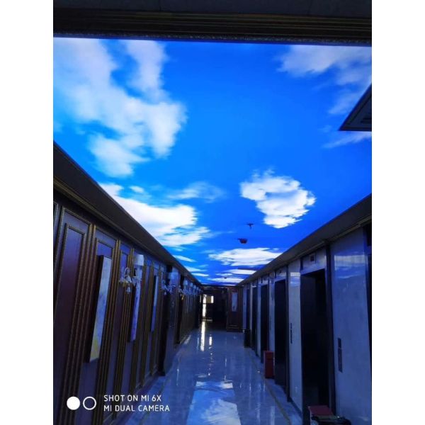 Не водоустойчивый обратный печатая фильм 200mic ЛЮБИМЦА подсвеченный для чернил краски светлой коробки