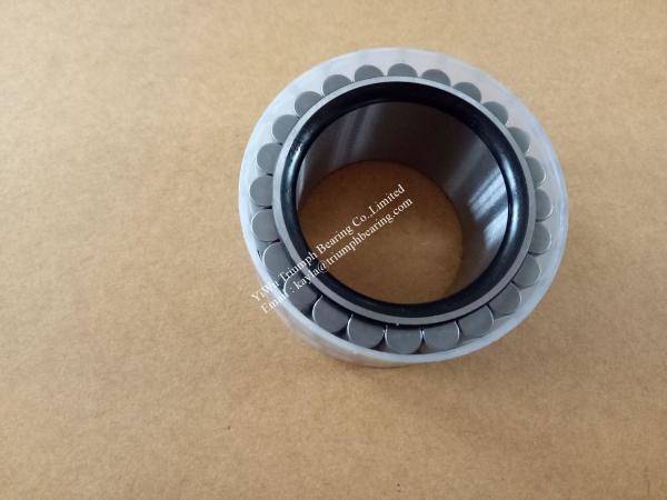 INA double -row full complement cylindrical roller bearing without cup F-219012RNN