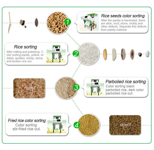 Optical Millet Seeds Sorter Quinoa Color Sorter Machine