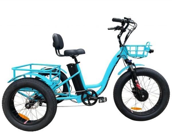 24 Inch 3 Wheel Electric Tricycle 7 Speed 48V 750W Electric Fat Tire Cargo Bike