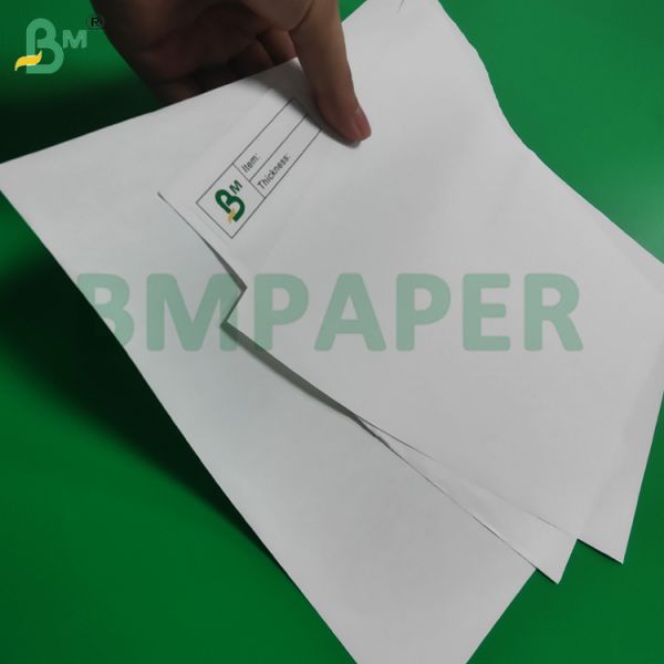 Rollo Jumbo de Papel Térmico de 70 g/m² y 75 g/m² para Máquinas ATM, 400 MM y 790 MM, Libre de BPA