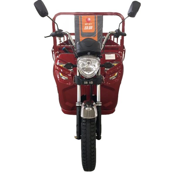 Pedal 1.0m*3.1m 110cc 3 Wheel Trike Moped