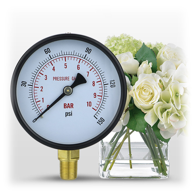 100mm BSP Hydraulic Pressure Meter 1-600bar Oxygen Manometer Gauge for Water Thread