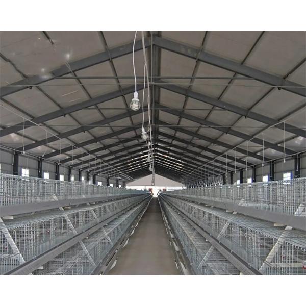 Commercial Steel Structure Prefab Chicken Broiler Poultry Farm Building