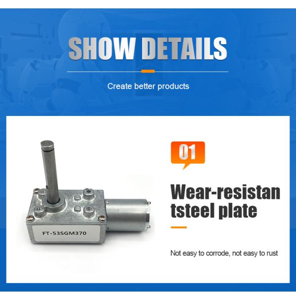 Customized Output Shaft FT-46SGM370  12V 24V  High Torque Worm Gear Motors