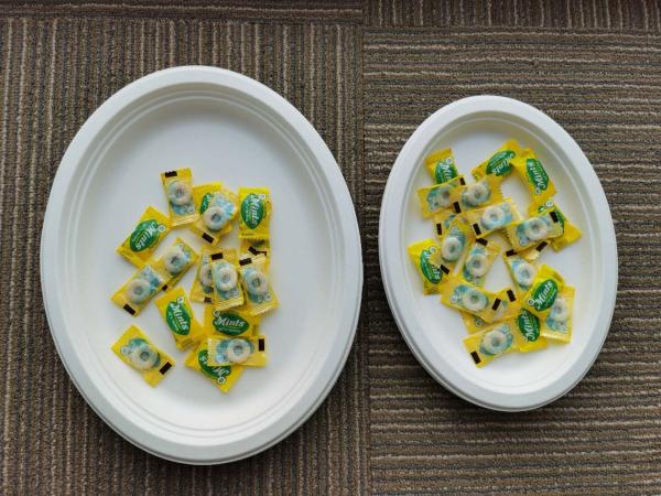 10 / 12 Inch Oval  Restaurant Nature Bagasse Paper Plates