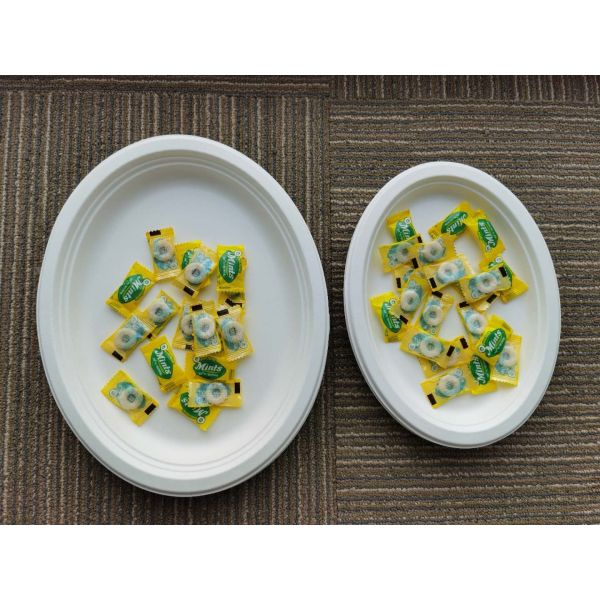 10 / 12 Inch Oval  Restaurant Nature Bagasse Paper Plates